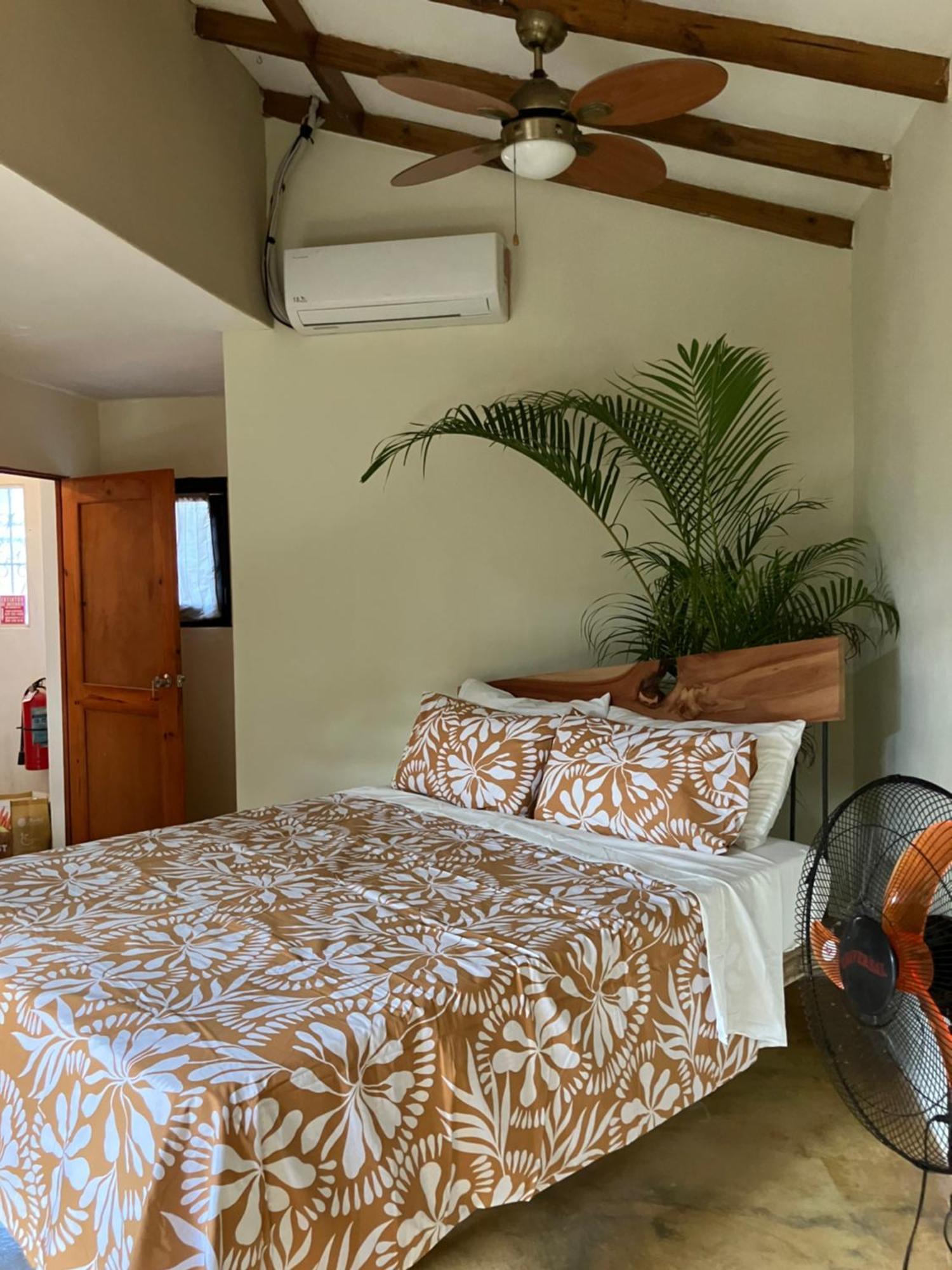 Yes Papa! Rooms Only 100M From The Beach! لاس غاليراس المظهر الخارجي الصورة